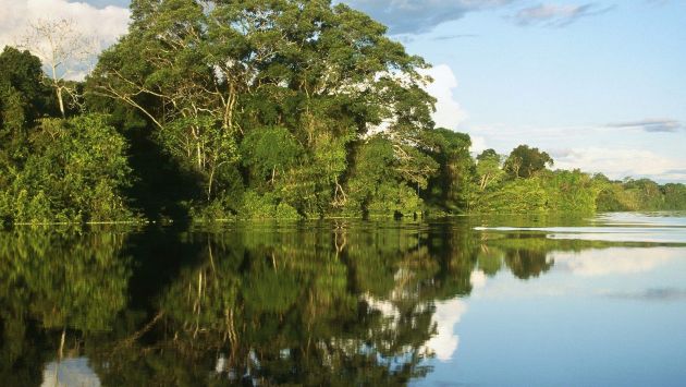 Señalan que más del 80% de represas planeadas contribuirían a la deforestación de la Amazonía. (USI)